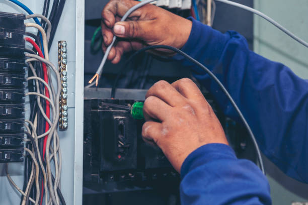 Best Electric Panel Repair  in Riverview, MO